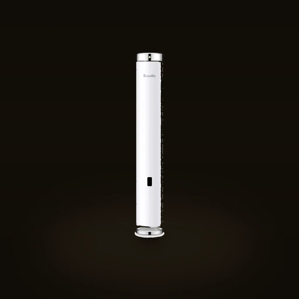 Breville Joule Turbo Sous Vide Machine (BSV600PSS)